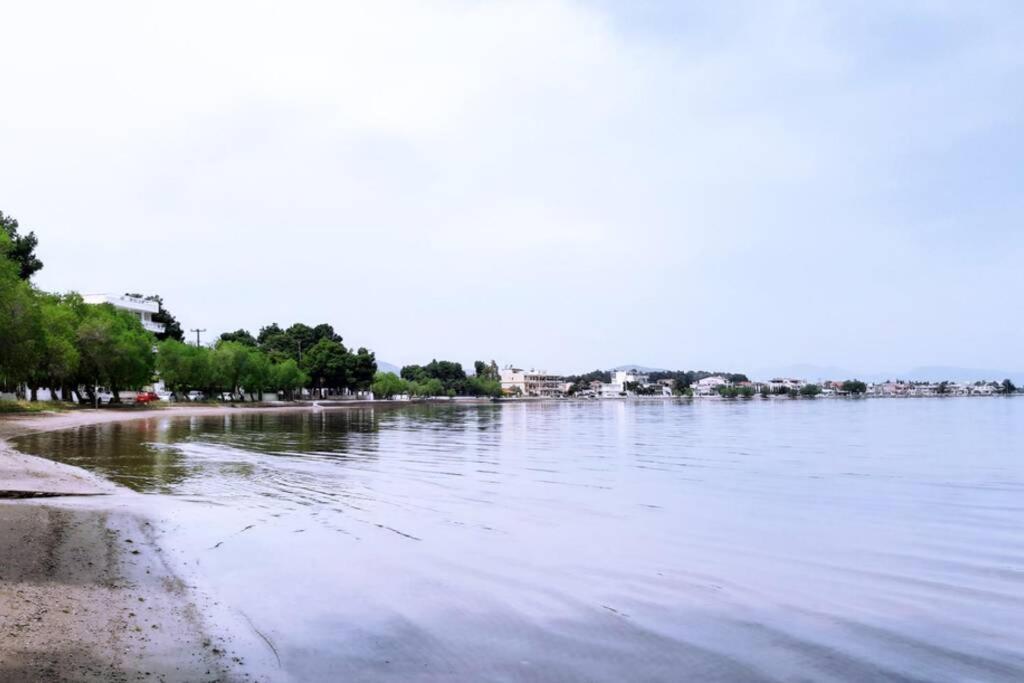 Πολυτελές Διαμέρισμα 2 Χαλκίδα-Παραλία Αυλίδος Paralia Avlidhos Экстерьер фото